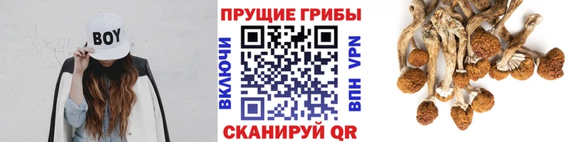 Галлюциногенные грибы MAGIC MUSHROOMS  МЕГА tor  Одинцово 