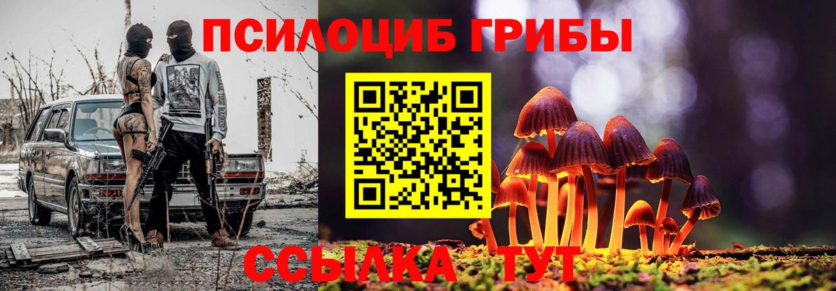 продажа наркотиков  Галлюциногенные грибы ЛСД  Вход с VPN  Галлюциногенные грибы GOLDEN TEACHER  Одинцово 